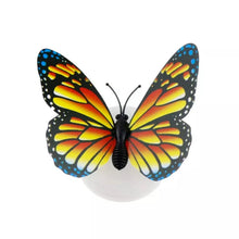 The Butterfly 3D Night Lamp Comes with 3D Illusion Design Suitable for Drawing Room, Lobby. - Justgrabit Inc.