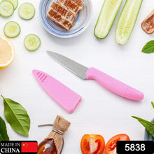 Sharp Fruit Knife (Stainless Steel, Comfortable Grip): 1 Pc - justgrabit.in | Just Grab It