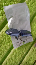 Keychain Nail Clipper | Small Nail Clippers Multicolor (1 Pc) - justgrabit.in | Just Grab It