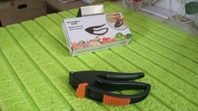 Multifunctional Garlic Press, Garlic Mincing & Crushing Tool (1 Pc) - justgrabit.in | Just Grab It