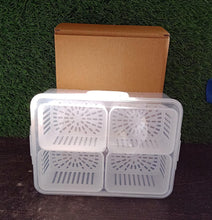 Fridge Storage Box – Freezer & Kitchen Organizer for Vegetables & Food (1 Pc) - Justgrabit Inc.