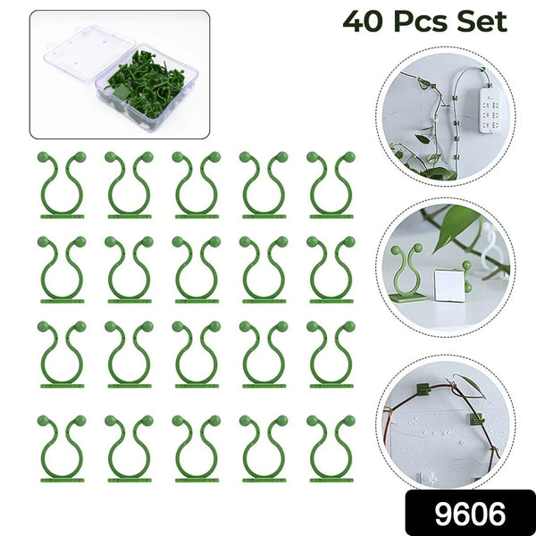 Plant Climbing Wall Fixture Clip Self - Adhesive Hook (40 Pcs Set / With plastic box) - justgrabit.in | Just Grab It