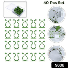 Plant Climbing Wall Fixture Clip Self - Adhesive Hook (40 Pcs Set / With plastic box) - justgrabit.in | Just Grab It