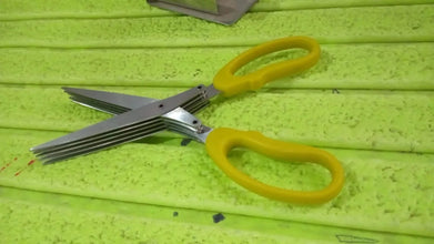 Multifunction Vegetable Stainless Steel Herbs Scissor with 5 Blades (1 Pc) - justgrabit.in | Just Grab It