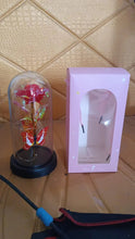 Elegant LED Eternal Rose in Plastic Dome (1 Pc / Battery Not included) - Justgrabit Inc.
