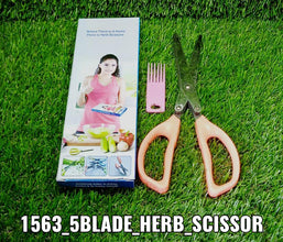 Stainless Steel 5 - Blade Herb Scissors - justgrabit.in | Just Grab It