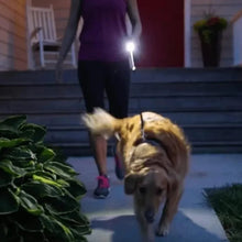 Portable Mini Torch / Flashlight LED Powerful High Lumens Pen Light Easy To Carry, Portable Pocket Compact Torch for Emergency 3 Battery operated (Battery not included / 1 pc) - Justgrabit Inc.