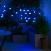 Solar LED Fiber Optic Garden Light - (1 Pc / Mix LED LIght) - justgrabit.in | Just Grab It