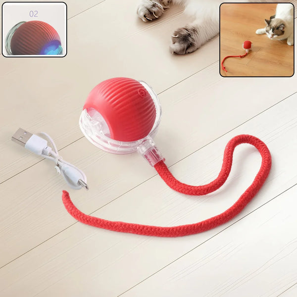 Rechargeable Interactive Cat Toy Ball with Detachable Braided Tail and LED Light (1 Pc) - justgrabit.in | Just Grab It