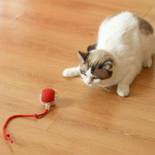 Rechargeable Interactive Cat Toy Ball with Detachable Braided Tail and LED Light (1 Pc) - justgrabit.in | Just Grab It