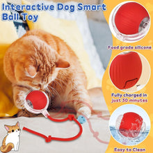 Rechargeable Interactive Cat Toy Ball with Detachable Braided Tail and LED Light (1 Pc) - justgrabit.in | Just Grab It