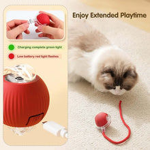 Rechargeable Interactive Cat Toy Ball with Detachable Braided Tail and LED Light (1 Pc) - justgrabit.in | Just Grab It