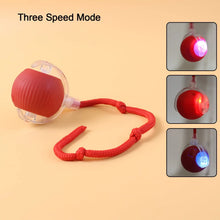 Rechargeable Interactive Cat Toy Ball with Detachable Braided Tail and LED Light (1 Pc) - justgrabit.in | Just Grab It