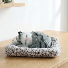 Soft Plush Cute Closed - Eye Cat Car Dashboard Showpiece Toy (1 Pc) - justgrabit.in | Just Grab It