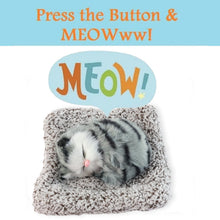 Soft Plush Cute Closed - Eye Cat Car Dashboard Showpiece Toy (1 Pc) - justgrabit.in | Just Grab It