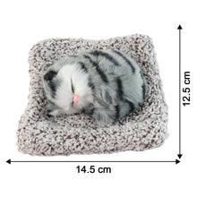 Soft Plush Cute Closed - Eye Cat Car Dashboard Showpiece Toy (1 Pc) - justgrabit.in | Just Grab It