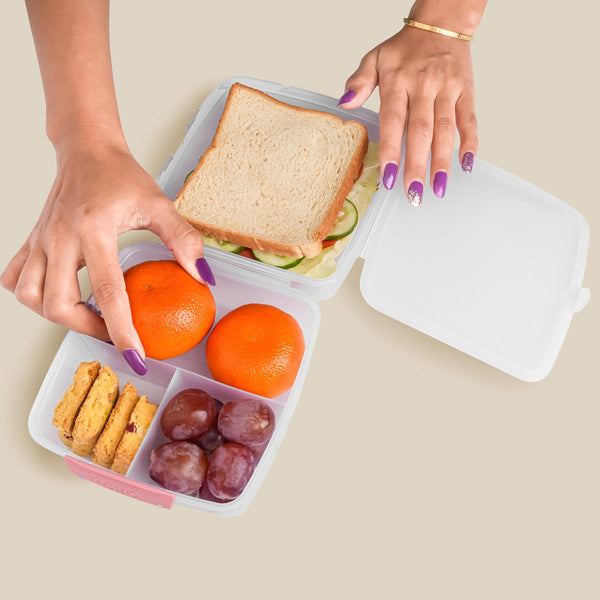 1 Large and 3 Small - Compartment 1400 ML Multipurpose Lunch Box (1400 ML / 1 Pc) - justgrabit.in | Just Grab It