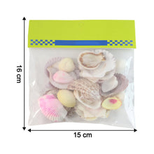Natural Decorative Sea Shells Set (1 Set) - justgrabit.in | Just Grab It