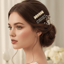 Elegant Design Hair Clips (4 Pc) - justgrabit.in | Just Grab It