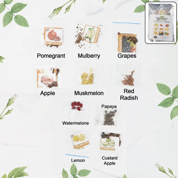 Fruit Seeds Combo Pack - (10 Pc / Set) - justgrabit.in | Just Grab It