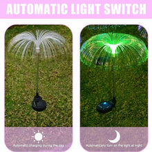 Solar - Powered Fiber Optic Garden Light - (1 Pc) - justgrabit.in | Just Grab It