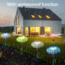 Solar - Powered Fiber Optic Garden Light - (1 Pc) - justgrabit.in | Just Grab It