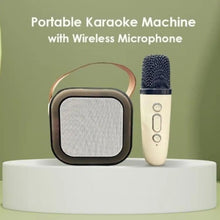 B Grade Portable Karaoke Speaker (1 Set) - justgrabit.in | Just Grab It