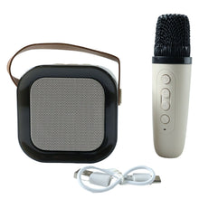 B Grade Portable Karaoke Speaker (1 Set) - justgrabit.in | Just Grab It