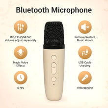 B Grade Portable Karaoke Speaker (1 Set) - justgrabit.in | Just Grab It