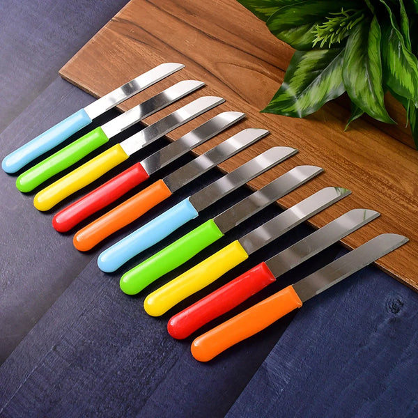Premium Quality Stainless Steel Handle Plain Knife (10 Pc / 1 Set) - Justgrabit Inc.