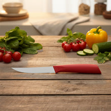 Multipurpose Stainless Steel Fruit Knife Set of 3 - justgrabit.in | Just Grab It