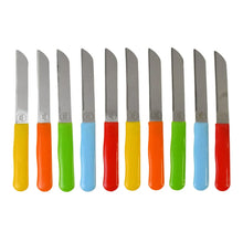 Premium Quality Stainless Steel Handle Plain Knife (10 Pc / 1 Set) - Justgrabit Inc.