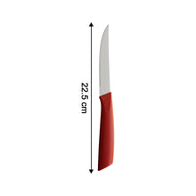 Multipurpose Stainless Steel Fruit Knife Set of 3 - justgrabit.in | Just Grab It