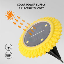 Solar Garden Decorative LED Ground Lights (2 Pc Set) - justgrabit.in | Just Grab It
