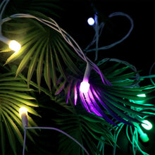 Multi - Color LED Decorative String Light (8 Meter) - Justgrabit Inc.