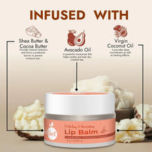 In'lief Moisturizing & Nourishing Lip Balm (1 Pc / 15 Gm) - Justgrabit Inc.