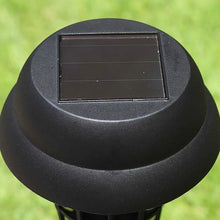 Solar Garden LED Bug Zapper Stake Light (1 Pc) - justgrabit.in | Just Grab It