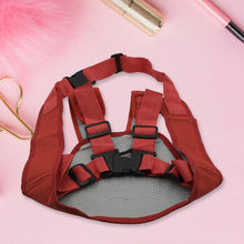 Protect Your Precious Cargo: Baby Safety Belt for Carrier (1 Pc) - Two Wheeler Safety - Justgrabit Inc.