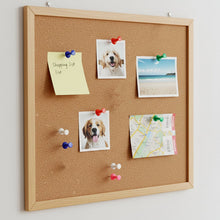 Office Stationery Clips and Pins Combo, 1 Set - justgrabit.in | Just Grab It