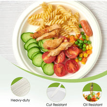 Freshee 9 Inch Compostable Bagasse Plate (10 Pc) - justgrabit.in | Just Grab It