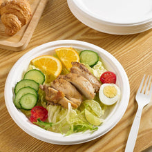 Freshee 9 Inch Compostable Bagasse Plate (10 Pc) - justgrabit.in | Just Grab It