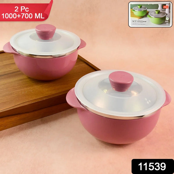 Apex Premium Plastic Serving Bowl Set with Lids (2 Pc) - Justgrabit Inc.