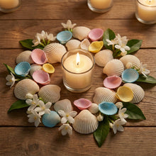 Decorative Seashells Set (1 Set) - justgrabit.in | Just Grab It