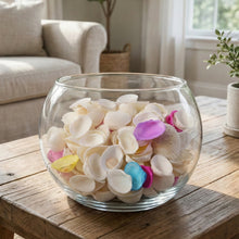 Decorative Seashells Set (1 Set) - justgrabit.in | Just Grab It