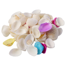 Decorative Seashells Set (1 Set) - justgrabit.in | Just Grab It