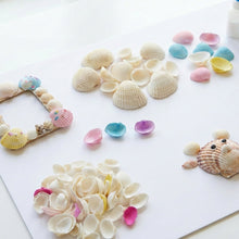 Decorative Seashells Set (1 Set) - justgrabit.in | Just Grab It