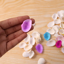 Decorative Seashells Set (1 Set) - justgrabit.in | Just Grab It