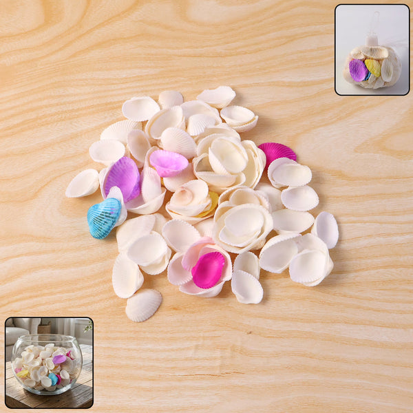 Decorative Seashells Set (1 Set) - justgrabit.in | Just Grab It