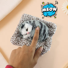 Soft Plush Cute Open - Eye Cat Car Dashboard Showpiece Toy (1 Pc) - justgrabit.in | Just Grab It
