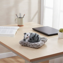 Soft Plush Cute Open - Eye Cat Car Dashboard Showpiece Toy (1 Pc) - justgrabit.in | Just Grab It